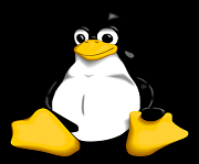 OS LAB